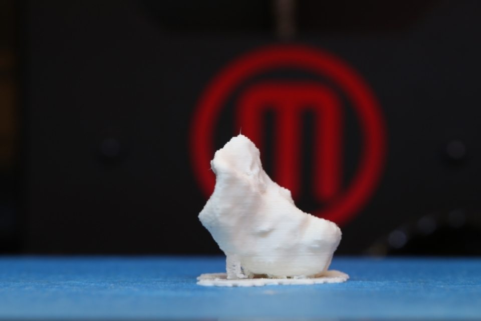 Multiple Sclerosis 3D Printing MakerBot PLA Material