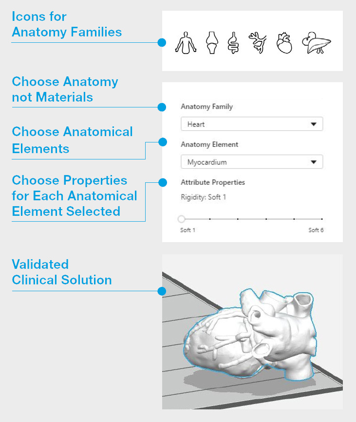 GrabCAD Print Digital Anatomy 3D printing software capabilities