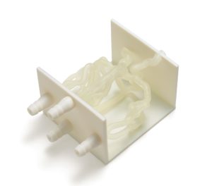 3D printed Anatomical models for medical device testing