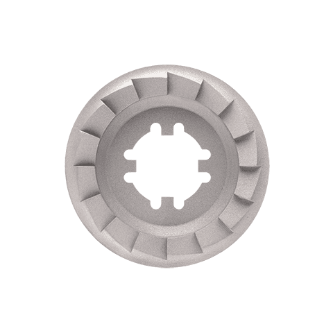 clutch plate shop system