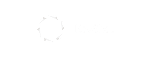 Keyshot logo