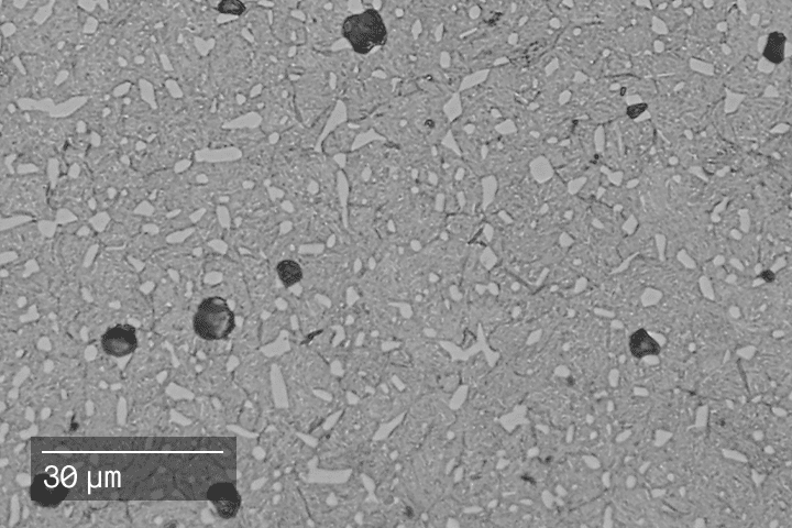 Image of a Microstructure D2 Tool Steel - Studio System